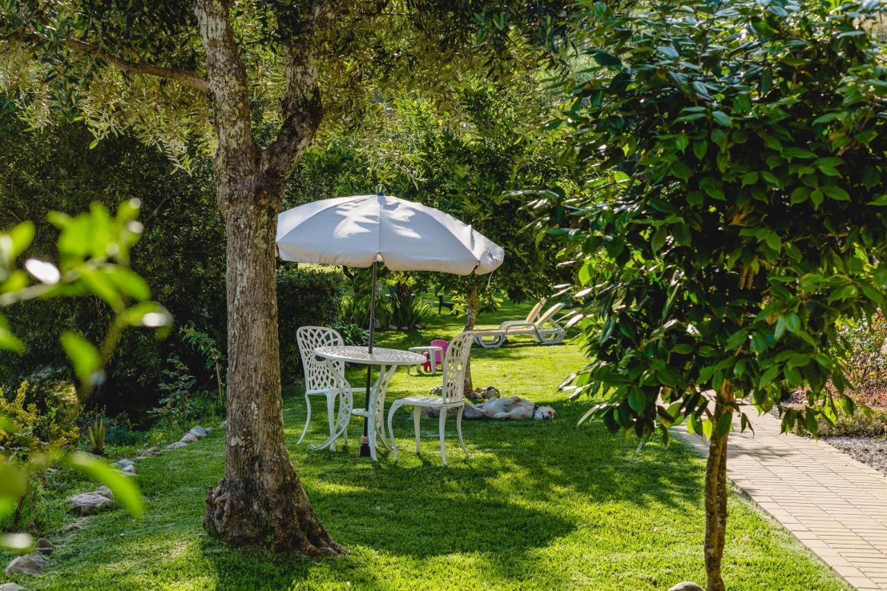 לאוסה Magnolias Cottage מראה חיצוני תמונה